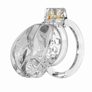 Male Chastity Cage Sissy Cage Cock Cage Covored with Soft TPE with Realistic Labia Bondage Gear & Accessories Adult Sex Toys Slave Tool Chastity Devices  (Transparent)