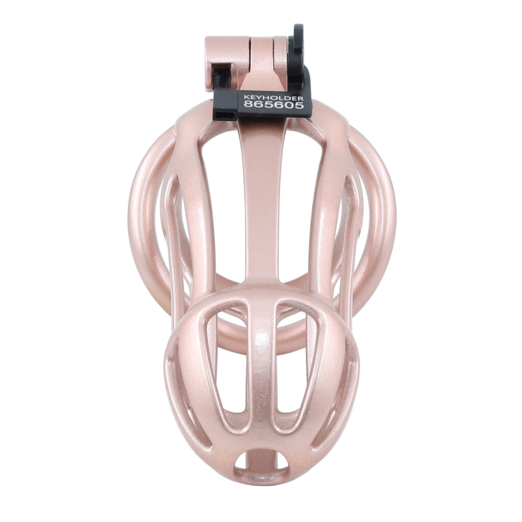 Modern Chastity Cage