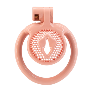 Small Chastity Cage with 5 Rings 3D Printed Resin Sissy Cage for Tiny Penis Virginity for Men Male Chastity Device (Flesh)