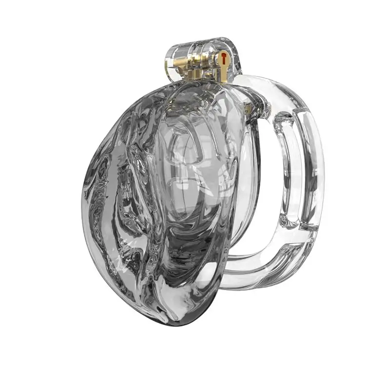 Chastity for Beginners Cage or Belt, Which One Should You Start With