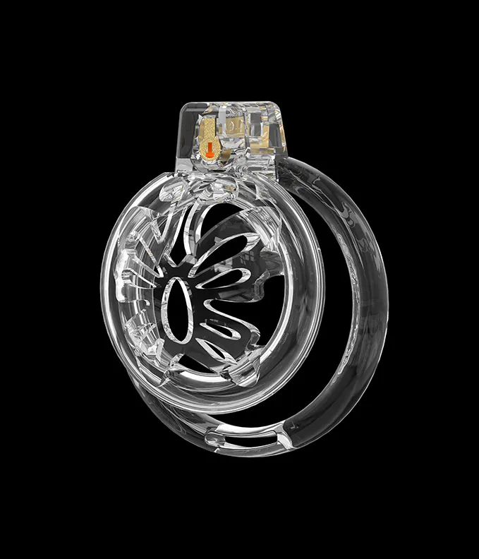 Parts of a transparent flat chastity cage including the base ring, cage opening and locking point